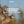 A bobwhite quail in flight with wings spread against a soft blue sky, with text reading 'A Gentleman's Covey Rise — Where Every Flush Feels Like Tradition.'