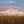 Tall grass prairie field at sunset under a pastel sky, with text 'A Covey That Shatters the Silence, All is Quiet Until...'.