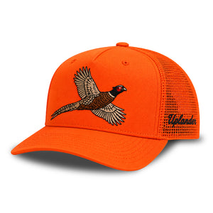 'COCK BIRD' BLAZE HAT
