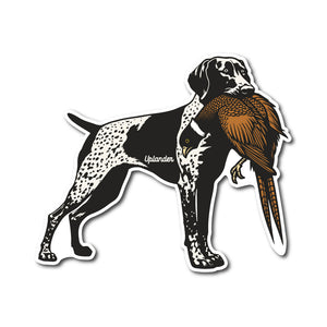 Die-cut sticker of a black and white German Shorthaired Pointer holding a ring-necked pheasant in its mouth.