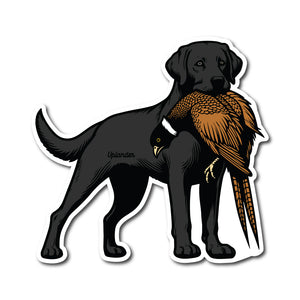 Die-cut sticker of a black Labrador Retriever holding a ring-necked pheasant in its mouth.