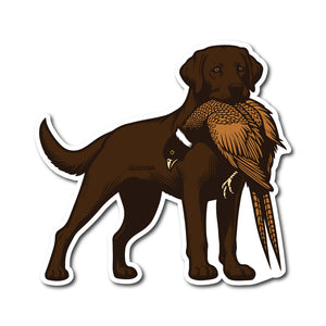 Die-cut sticker of a chocolate brown Labrador Retriever holding a ring-necked pheasant in its mouth.