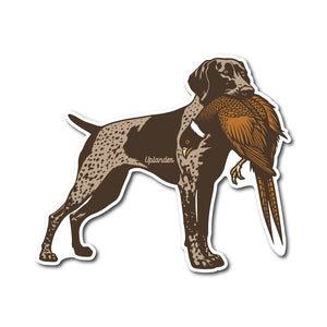 Die-cut sticker of a liver and roan German Shorthaired Pointer holding a ring-necked pheasant in its mouth.