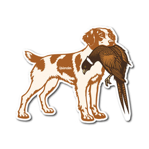 Die-cut sticker of an orange and white Brittany holding a ring-necked pheasant in its mouth.