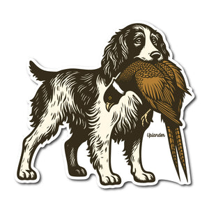 Die-cut sticker of a black and white English Springer Spaniel holding a ring-necked pheasant in its mouth.
