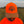 Man wearing a blaze orange snapback hat with a mesh back and a light brown bill featuring an embroidered ruffed grouse tail fan with the script 'Uplander' below, worn outdoors.