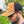 'GSP' SNAPBACK