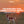 Brittany standing in a grass field at sunset, with text 'The Hero Shot That Looks a Little Empty, Except the Dog is Always the Hero'.