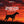 Silhouette of an English Pointer against a red sunset sky, with text 'The Best Part of the Hunt, It's Not the Flush'.
