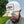 'TAILGATE' SNAPBACK