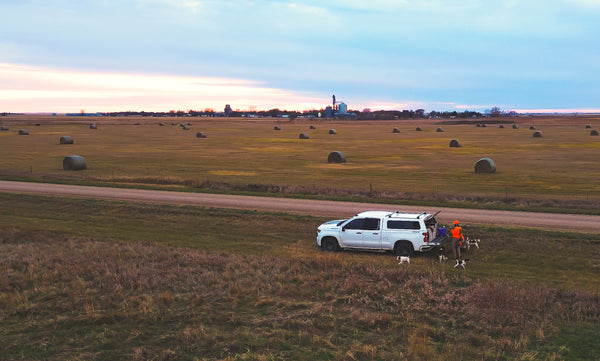 A white pickup truck with a topper is parked beside a dirt road in a wide-open farm field. A hunter wearing blaze orange stands beside the truck with four bird dogs, while hay bales stretch across the landscape beneath a cloudy sky.