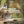 A ruffed grouse drumming on a mossy log in a northwoods forest, with text reading 'The King on His Throne — Echoing Through the Northwoods.'